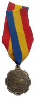 Медаль "Защитнику вольного Дона"